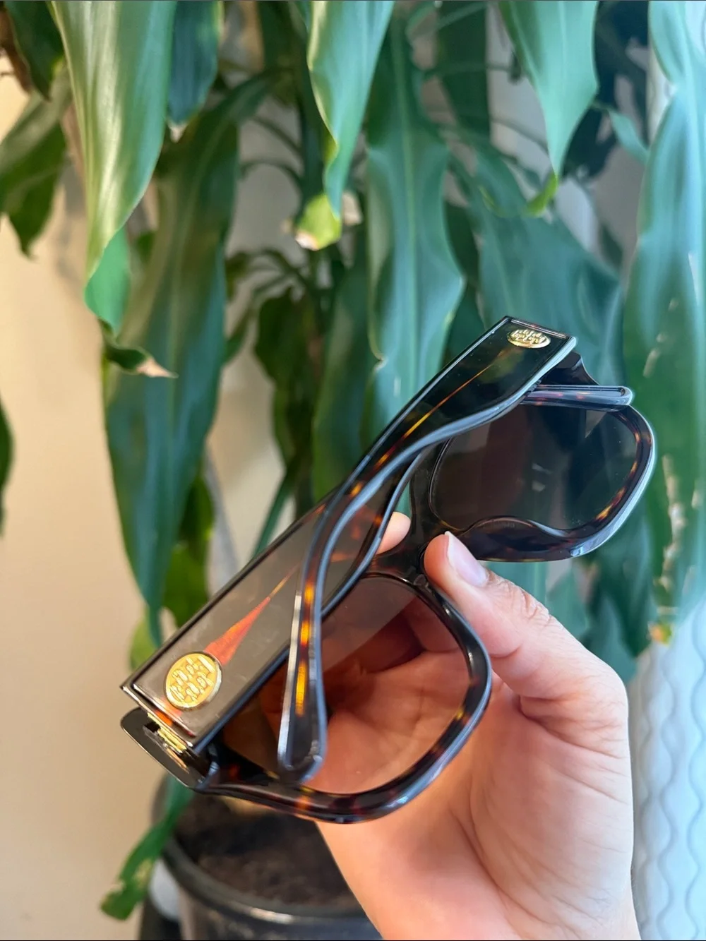 Tory Burch Black Oversized Women's Sunglasses